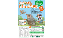 2025年度の「野鳥の子育て応援キャンペーン」がスタートしました