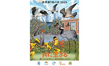5月10日は「世界渡り鳥の日」共に生きる―鳥たちにもやさしい街と社会をつくろう