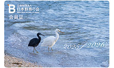 2026年「会員証」を飾る写真大募集！