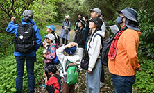 「森のいきもの観察DAY」開催!(2025年4月26日開催)のご報告