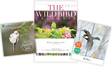 日本野鳥の会オリジナルカレンダー(2026年)のご案内