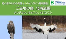 初心者のための安西さんのオンライン野鳥講座