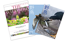 「カタログ展」・「全国カレンダー展」入賞のおしらせ