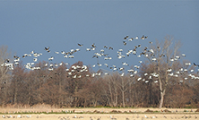 当会会長 上田恵介、理事長 遠藤孝一のご紹介「トップメッセージ」を更新しました