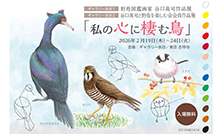 野鳥図鑑画家・谷口高司氏 作品展「私の心に棲む鳥」開催