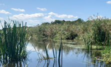 「勇払原野を支える美々川の自然環境を守る」を公開しました