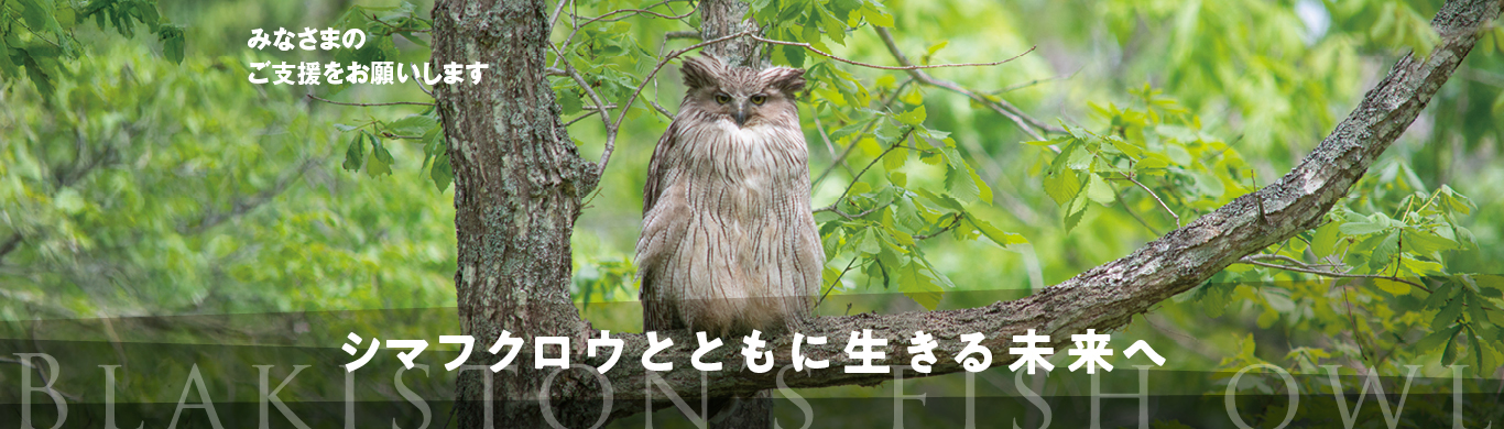 キャンペーン：シマフクロウとともに生きる未来へ