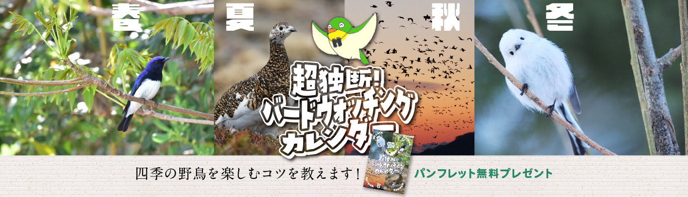 バードウォッチングの一年がわかる！『超独断！バードウォッチングカレンダー』プレゼント！