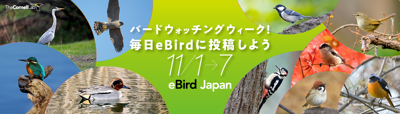 「バードウォッチングウィーク！毎日eBirdに投稿しよう」キャンペーン