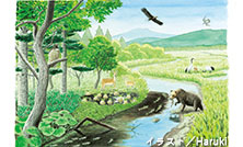 「シマフクロウとの共存ルールについて」を公開しました